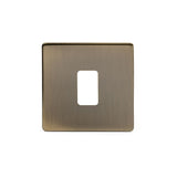 1G Module Grid Switch Plate